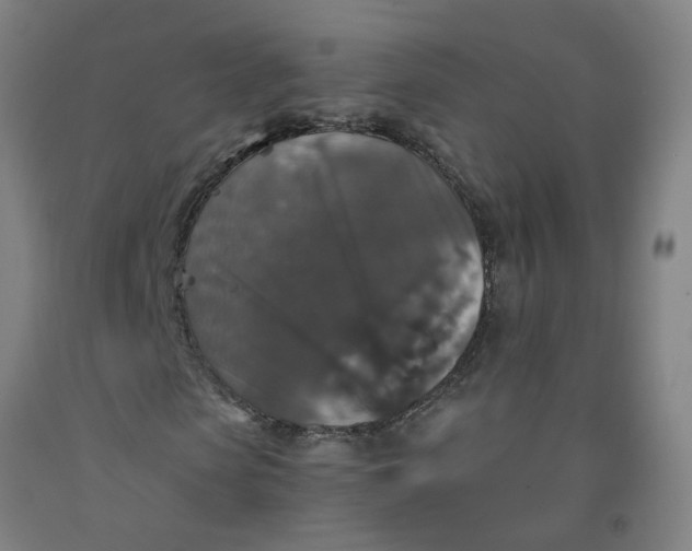 X0000091960913200709271343