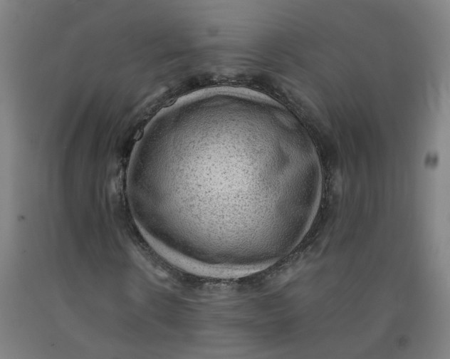 X0000091960914200709271343