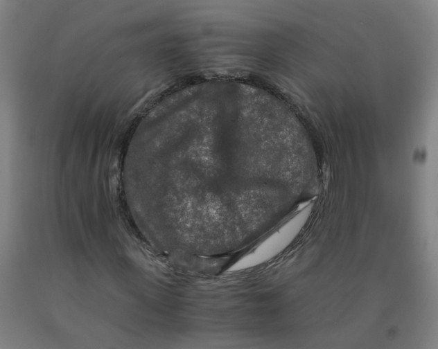 X0000091960915200709271343