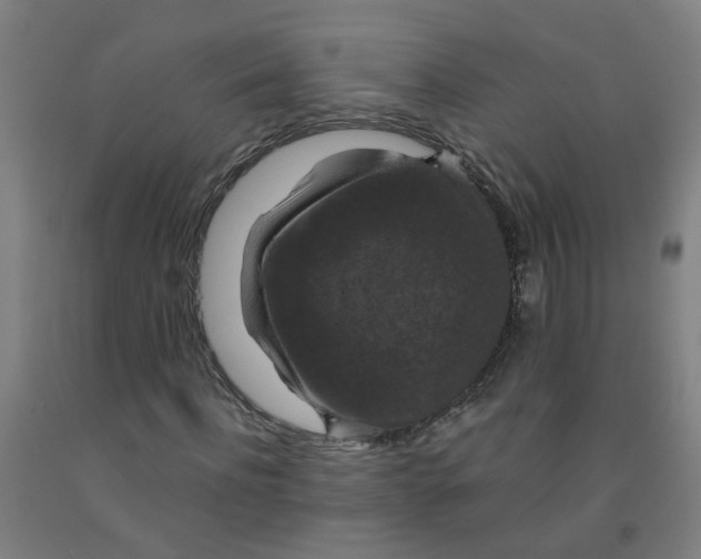 X0000091960916200709271343