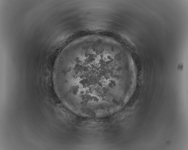 X0000091960917200709271343