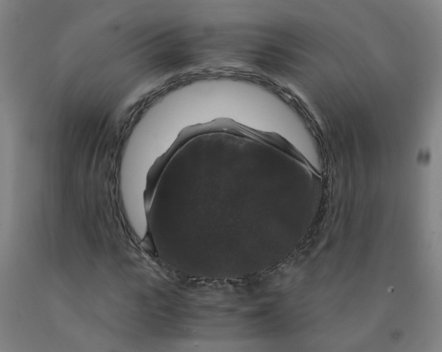 X0000091960919200709271343