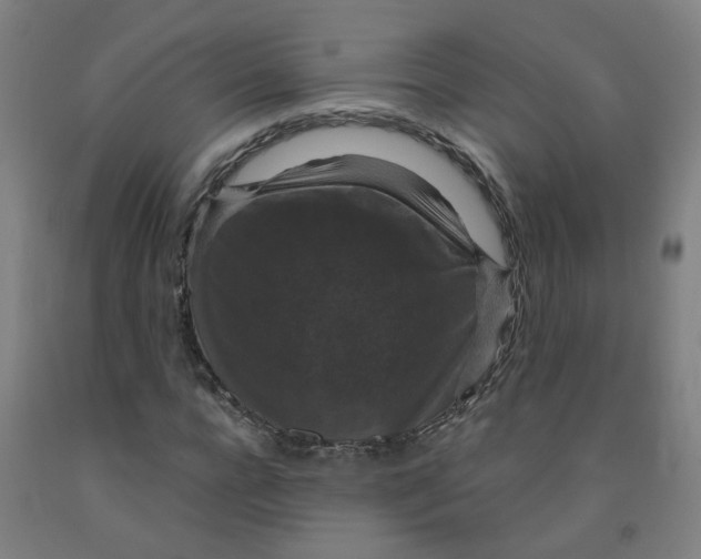 X0000091960920200709271343