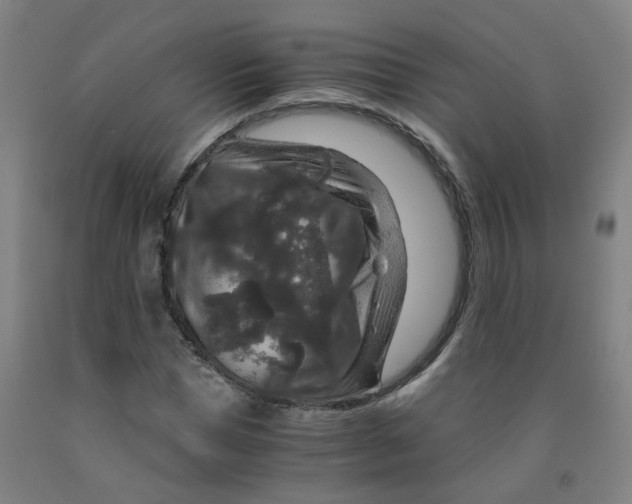 X0000091960921200709271343