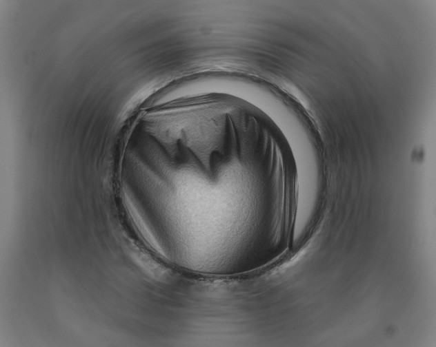 X0000091960922200709271343