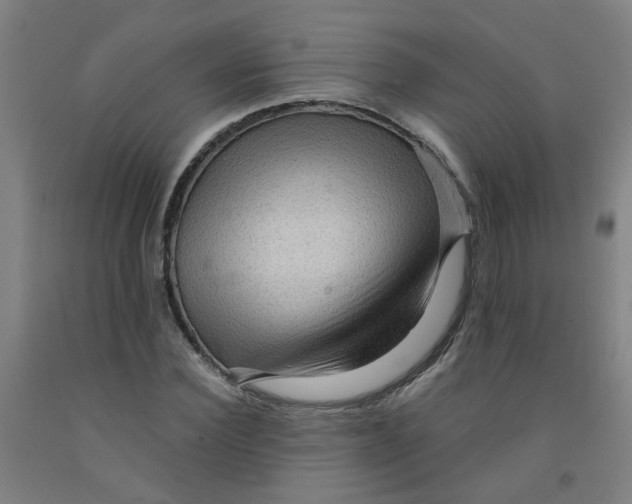 X0000091960924200709271343