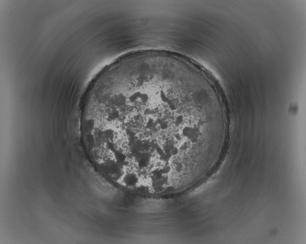 X0000091960925200709271343