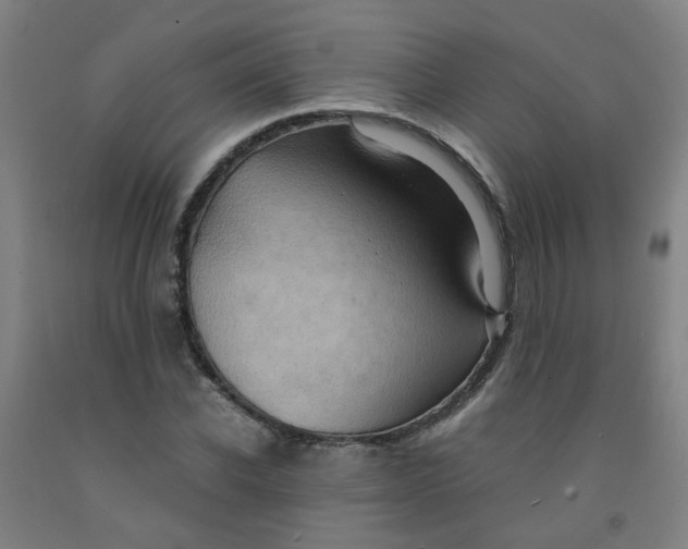 X0000091960926200709271343