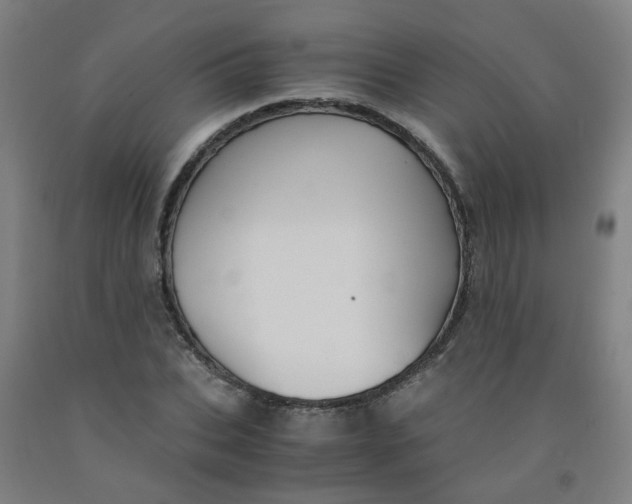 X0000091960927200709271343