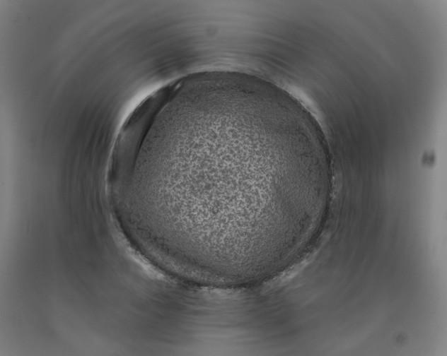 X0000091960928200709271343