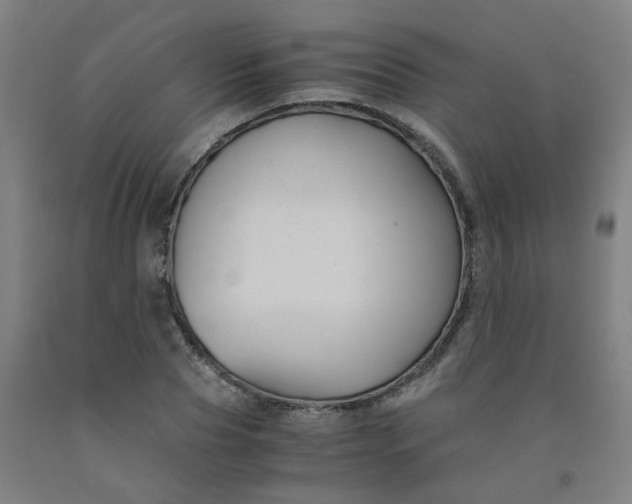 X0000091960929200709271343