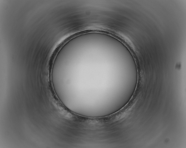 X0000091960931200709271343