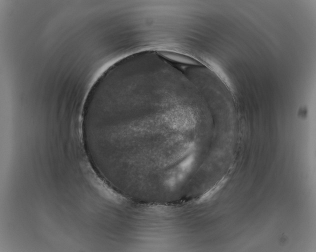 X0000091960932200709271343