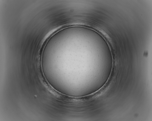 X0000091960933200709271343