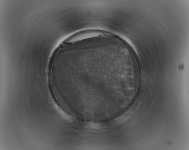 X0000091960935200709271343