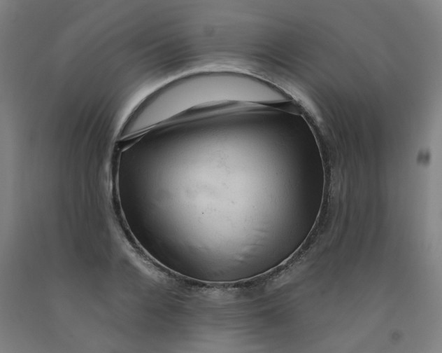 X0000091960936200709271343