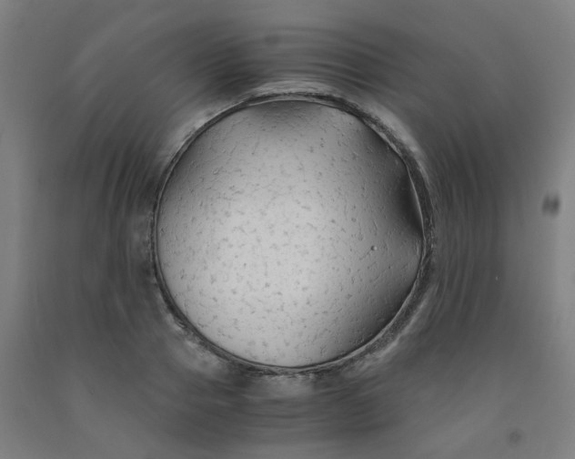 X0000091960937200709271343