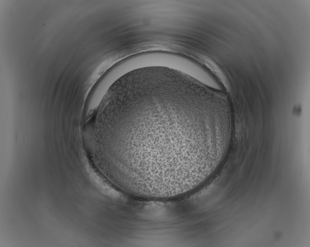 X0000091960938200709271343