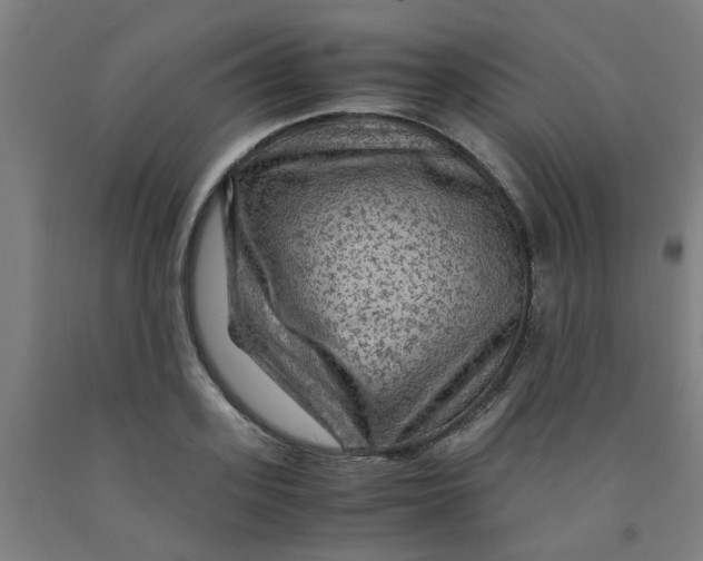 X0000091960939200709271343