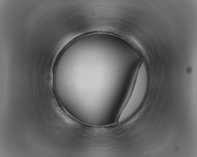 X0000091960940200709271343