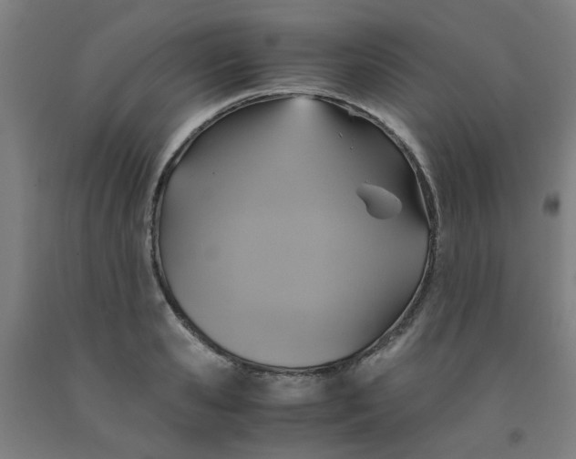 X0000091960941200709271343