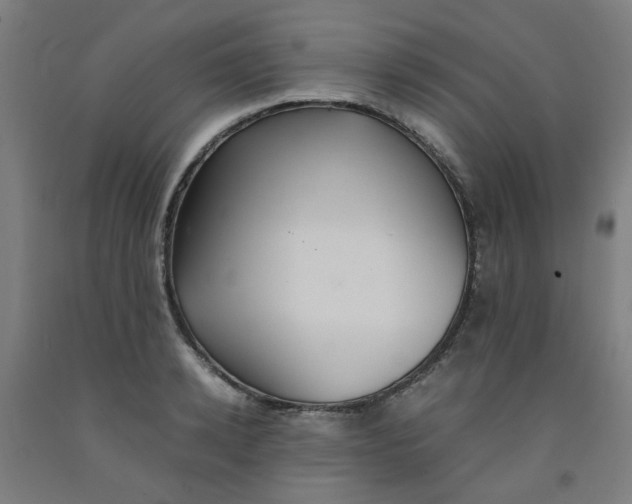 X0000091960942200709271343