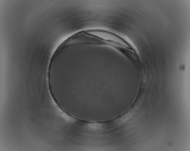 X0000091960943200709271343