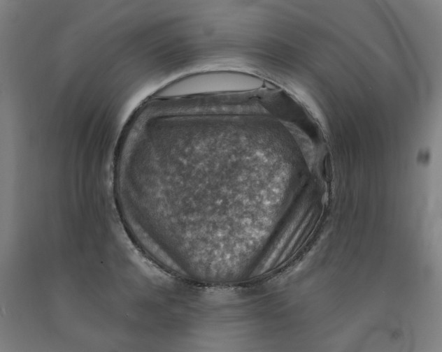 X0000091960944200709271343