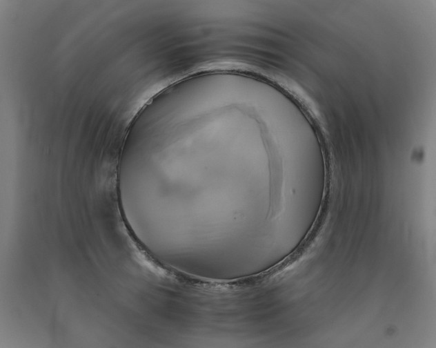 X0000091960945200709271343