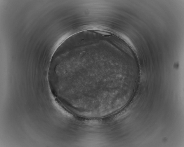 X0000091960946200709271343