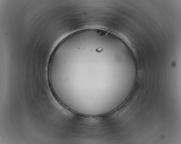 X0000091960947200709271343