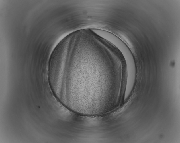 X0000091960948200709271343