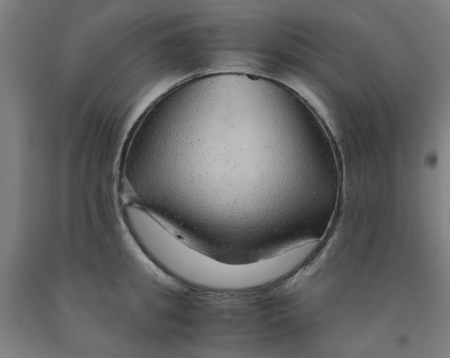 X0000091960949200709271343