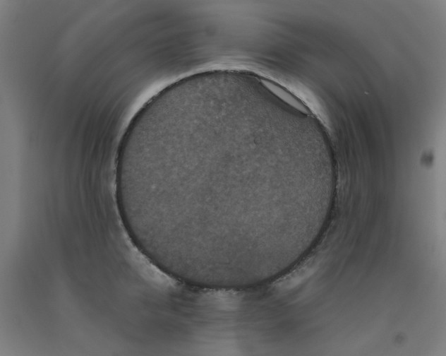 X0000091960950200709271343