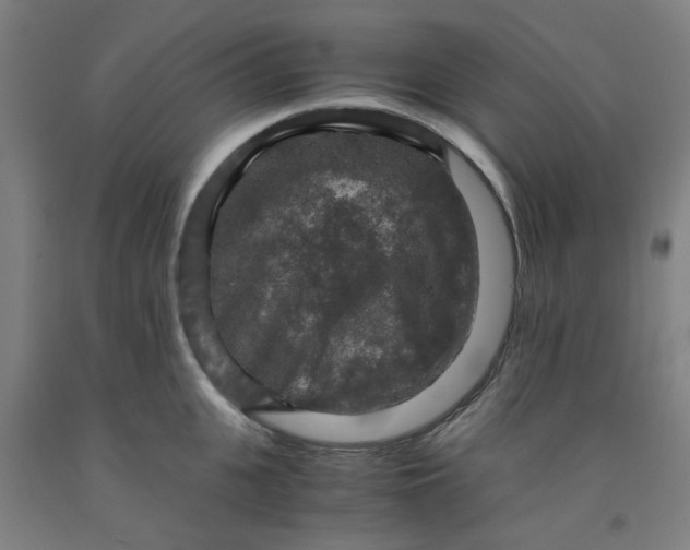 X0000091960951200709271343