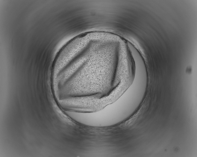 X0000091960952200709271343