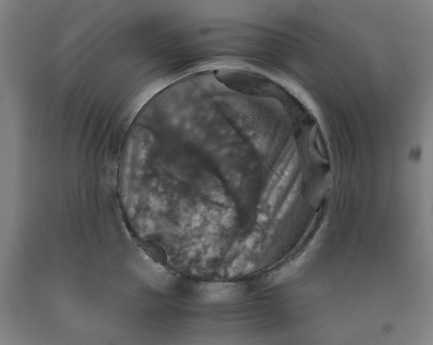 X0000091960953200709271343