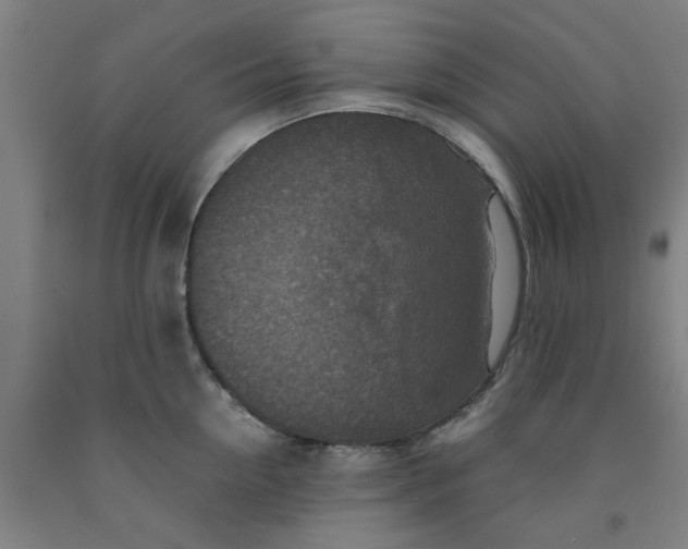 X0000091960954200709271343