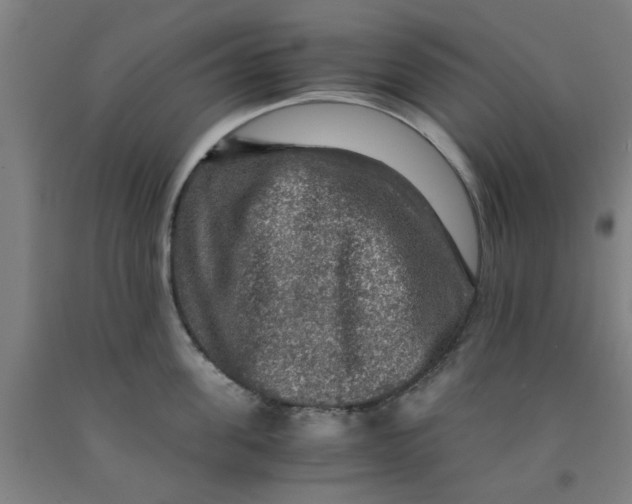 X0000091960955200709271343