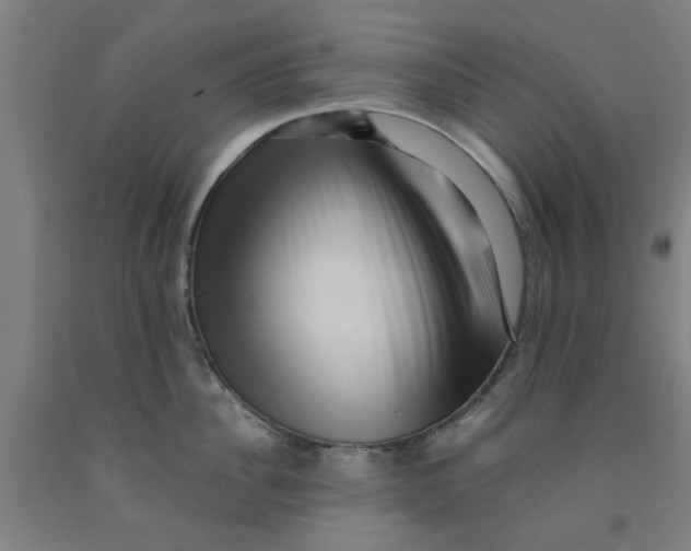 X0000091960956200709271343