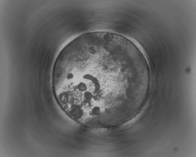 X0000091960957200709271344