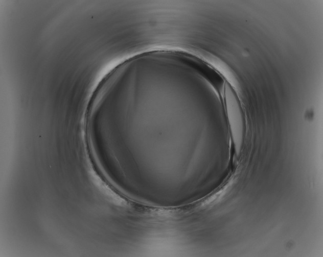 X0000091960958200709271344