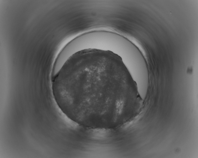 X0000091960959200709271344