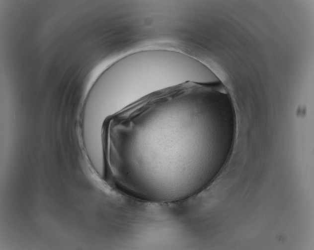 X0000091960960200709271344