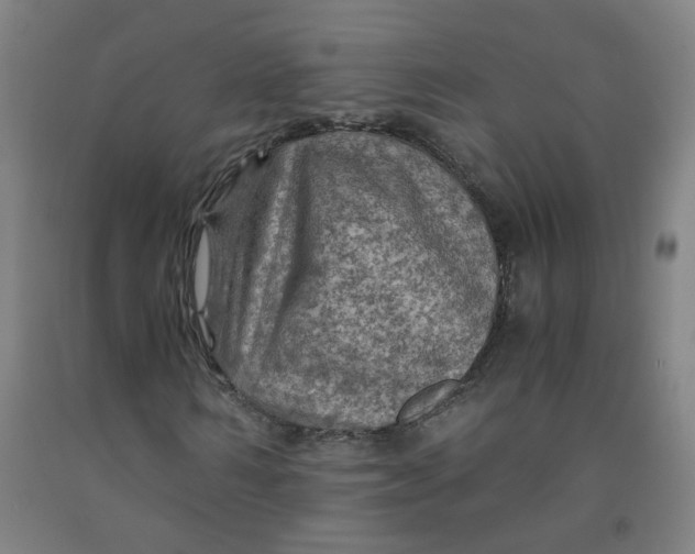 X0000091960962200709271343