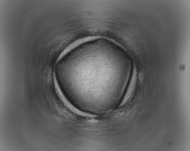 X0000091960963200709271343