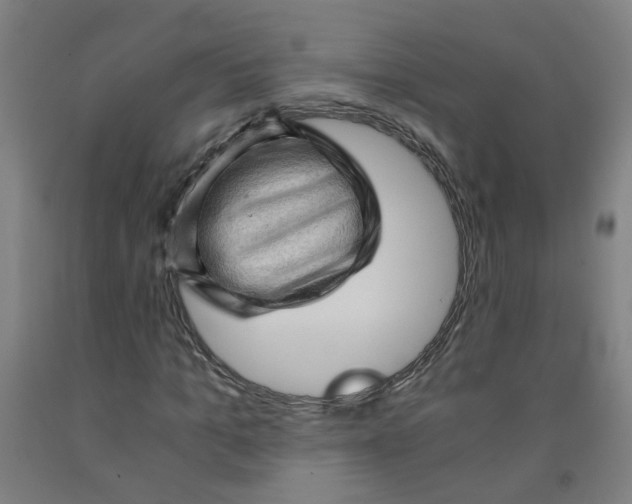 X0000091960965200709271343