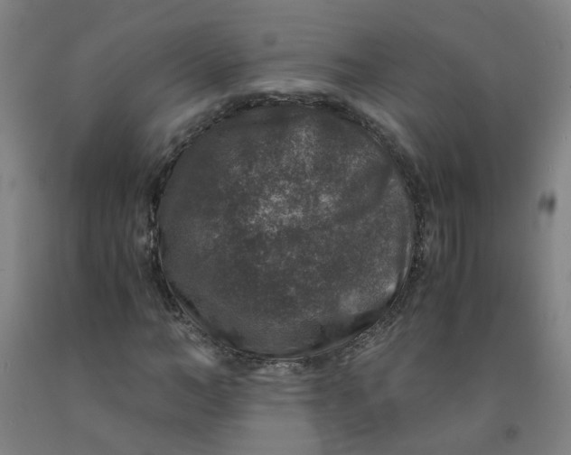 X0000091960966200709271343