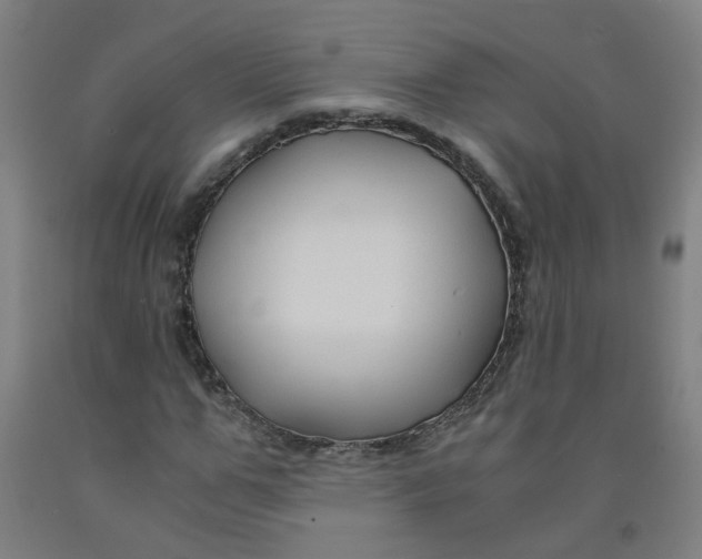 X0000091960967200709271343