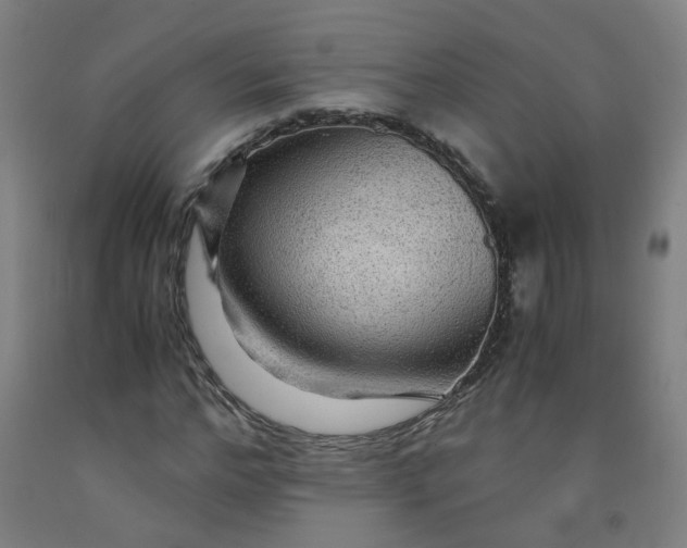 X0000091960968200709271343